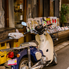 谷中 2020年2月　その１