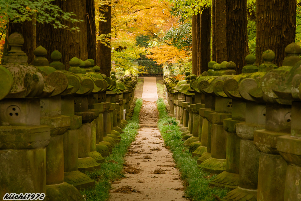 2019年12月：平林寺４