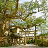 神社の前を通過する江ノ電