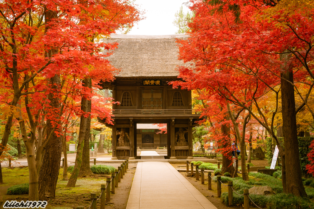 2019年12月：平林寺10