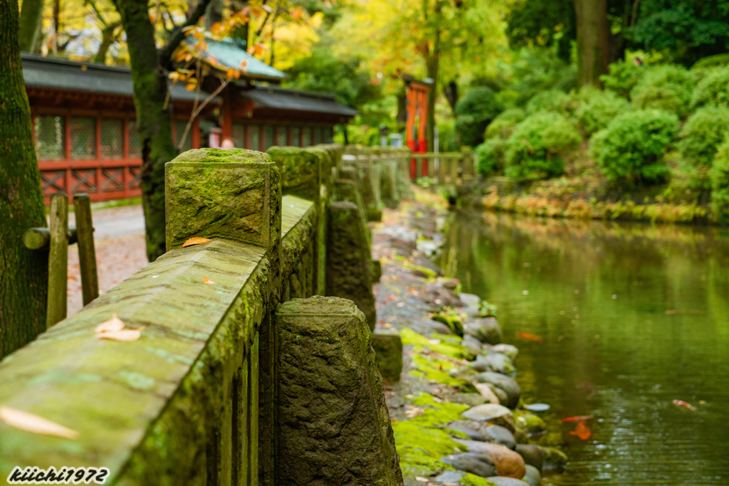 根津神社の紅葉