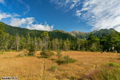 上高地・田代湿原