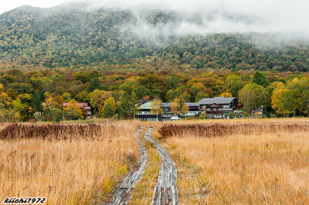 尾瀬ヶ原（見晴近辺）