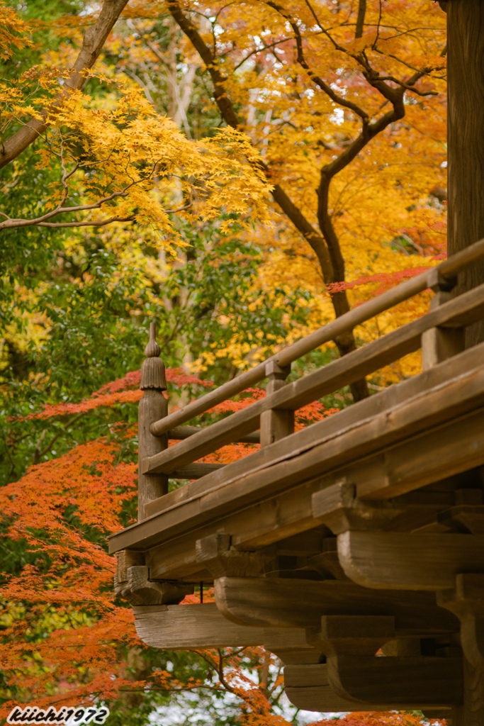 2019年12月：平林寺２