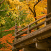 2019年12月：平林寺２