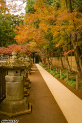 2019年12月：平林寺８