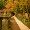 2019年12月：平林寺８