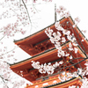 清水寺三重塔（2020年3月）