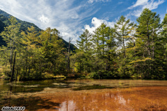 上高地・田代池