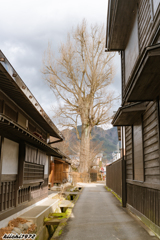 飛騨古川2020年（その５）