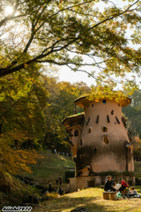 トーベ・ヤンソンあけぼの子どもの森公園の秋：その１