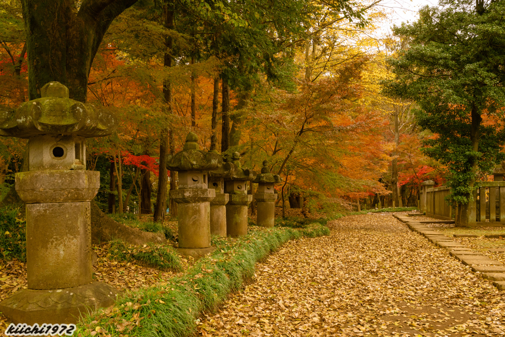 2019年12月：平林寺７