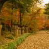 2019年12月：平林寺７