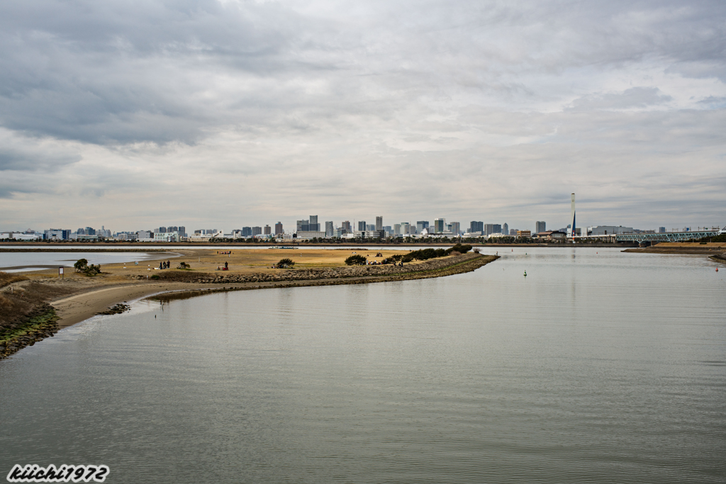 2020年1月：葛西臨海公園２