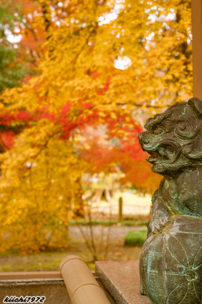 2019年12月：平林寺９