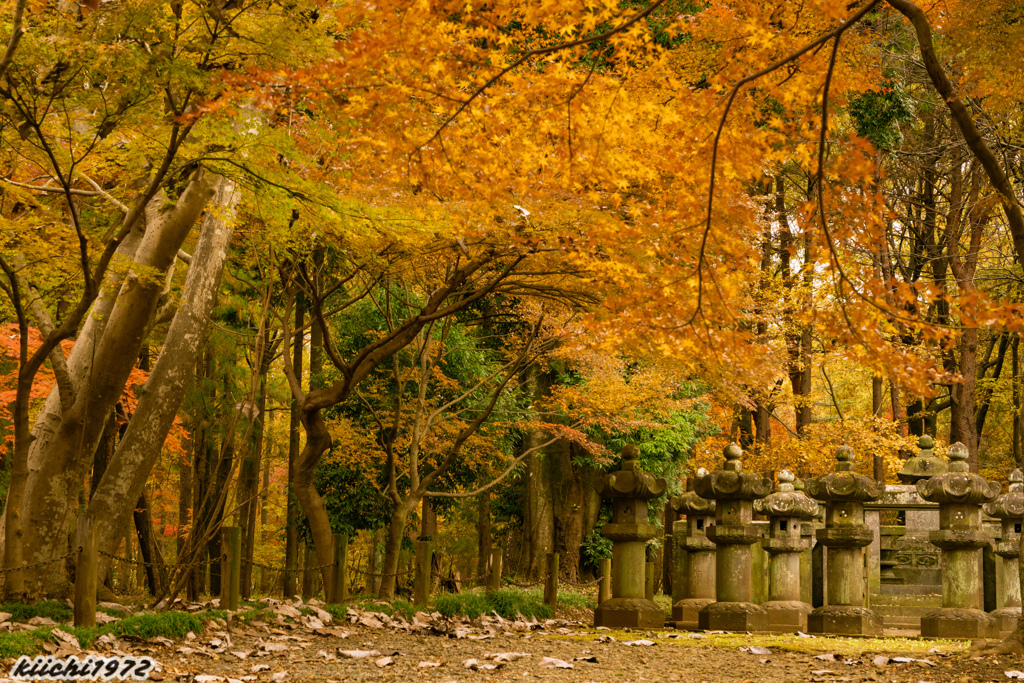 2019年12月：平林寺５