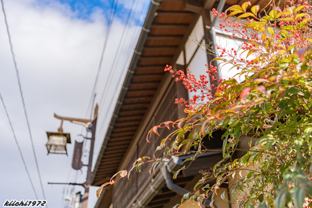 飛騨古川2020年（その３）