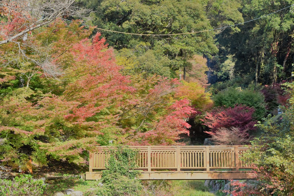 小城　紅葉