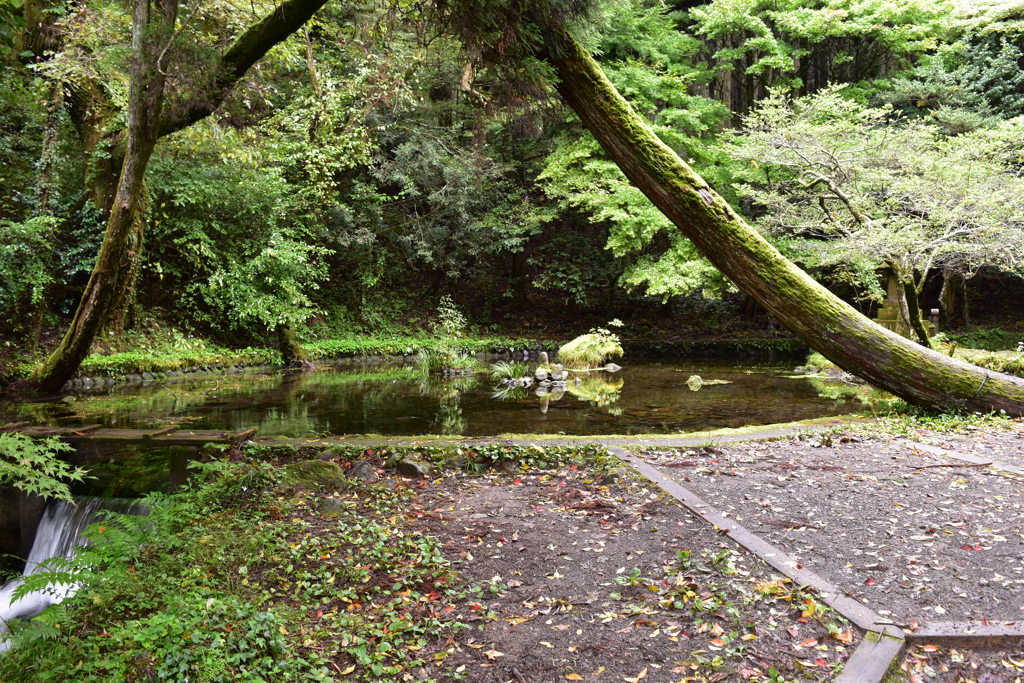 山吹水源　