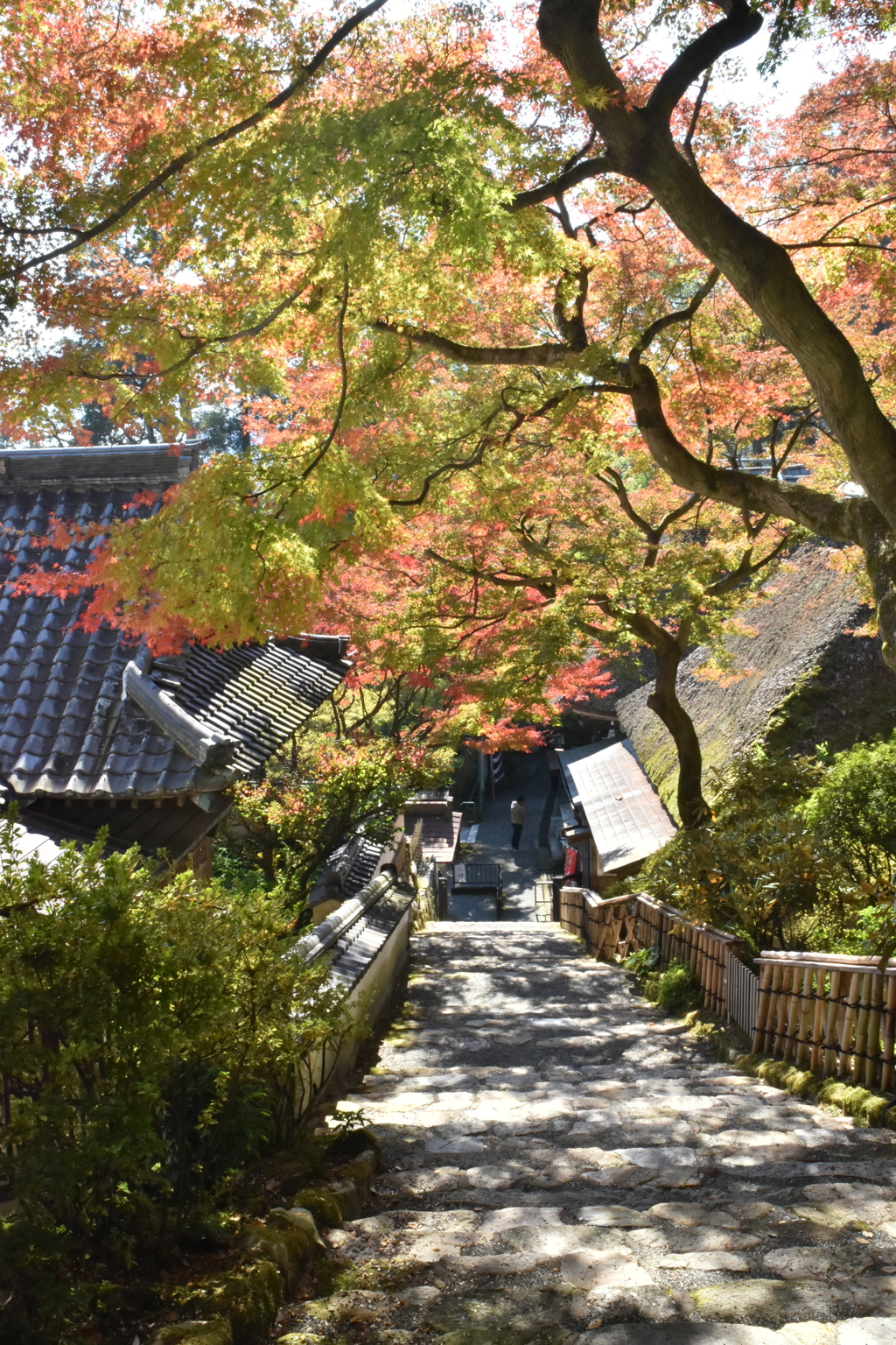 大興善寺