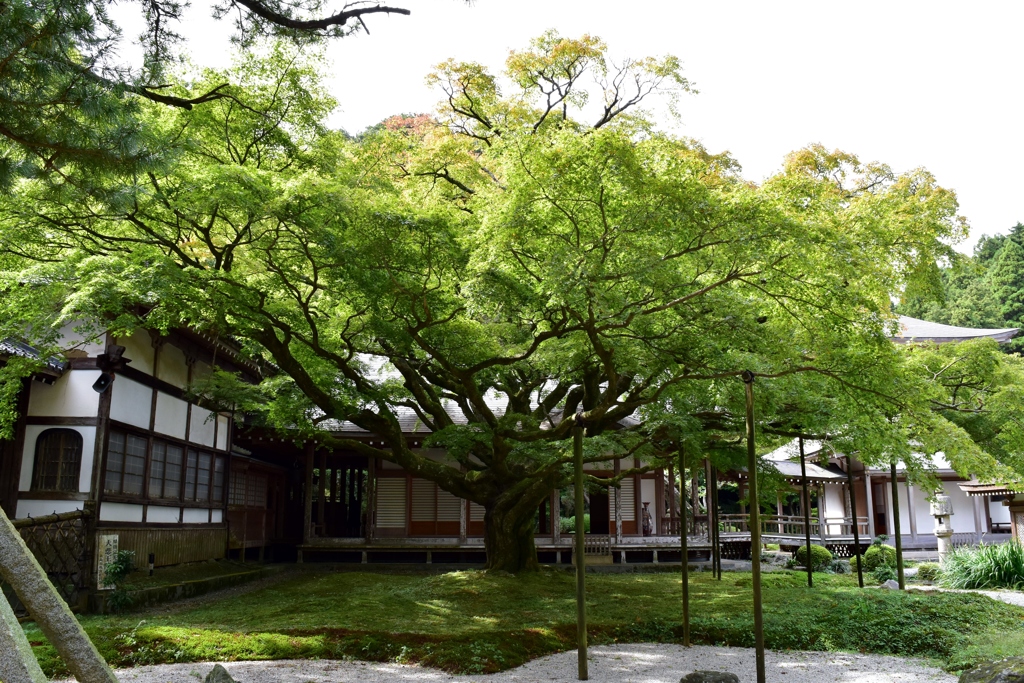 雷山千如寺