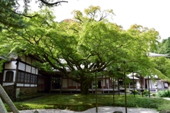 雷山千如寺