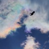 彩雲とトンビ