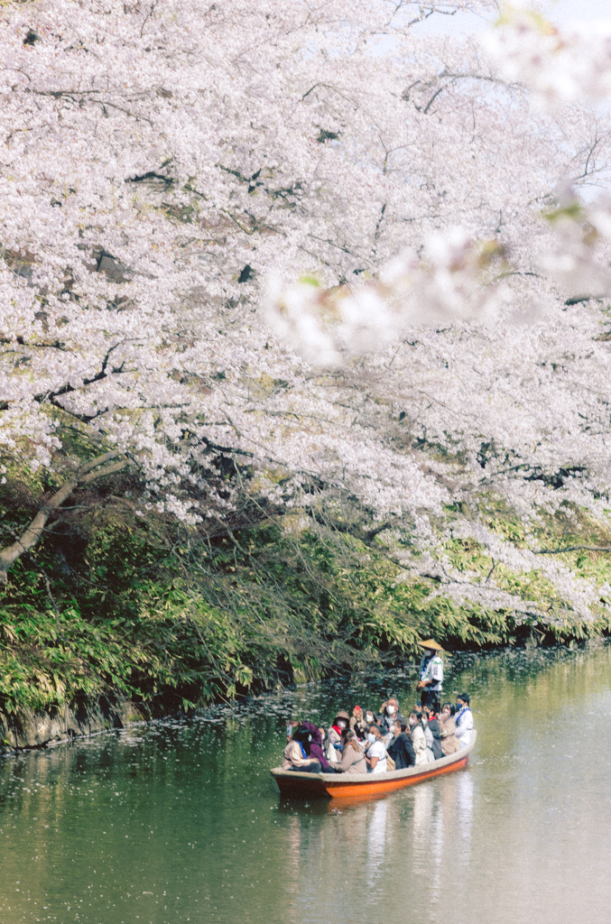 hirosaki,