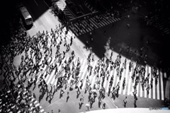 渋谷スクランブル交差点