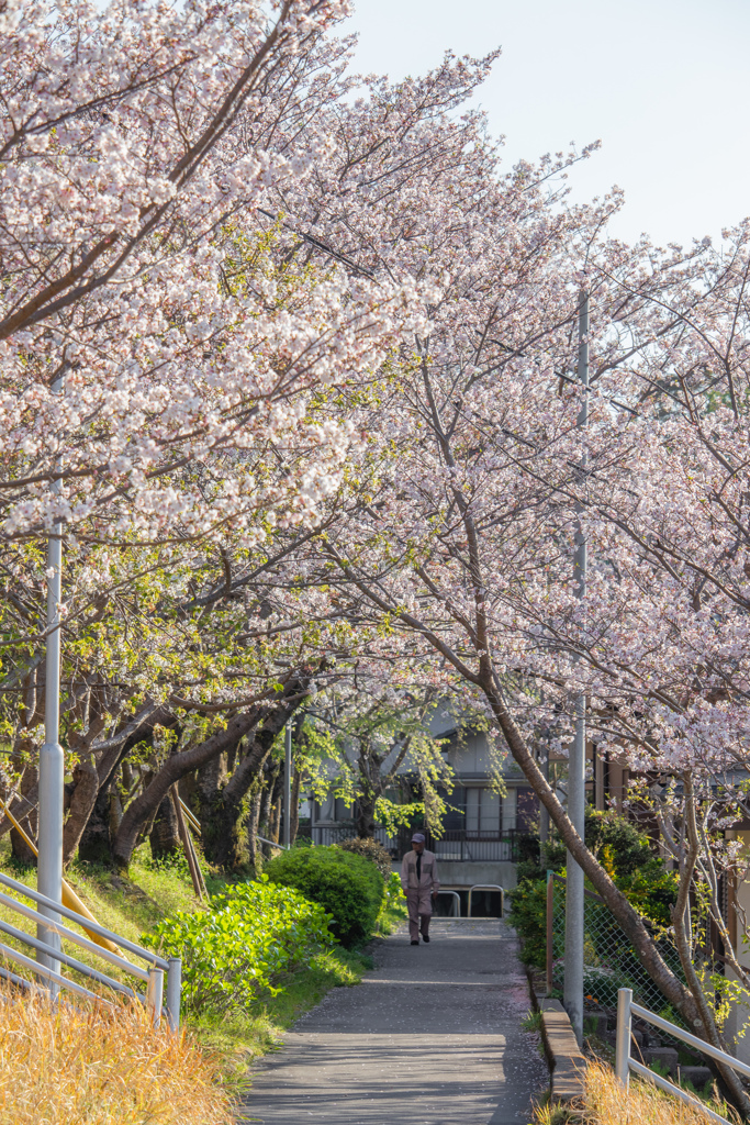 少し前に撮ったの