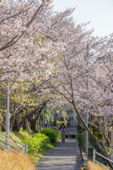 少し前に撮ったの