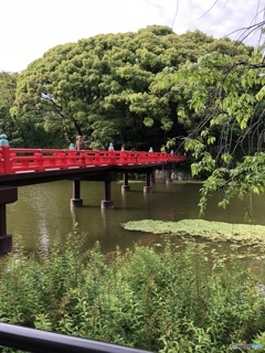 天王寺公園にて