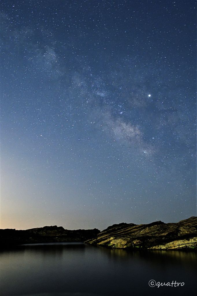 GWは夜行性
