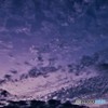 秋の気配