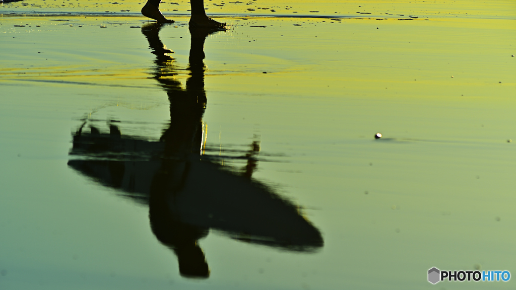 reflection