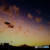 黄昏れ