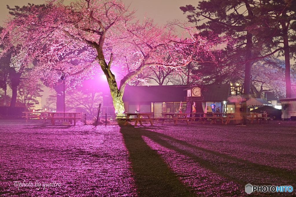 light-up