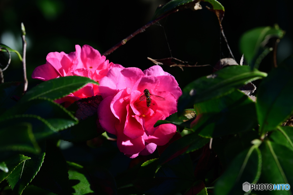 日だまりの中で