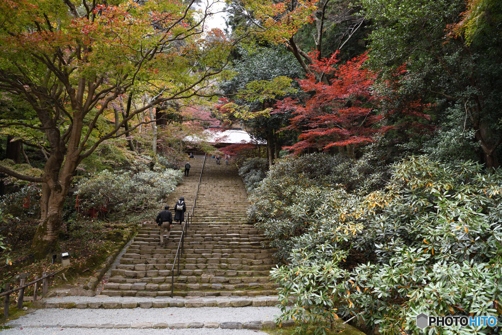 晩秋の室生寺