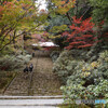 晩秋の室生寺