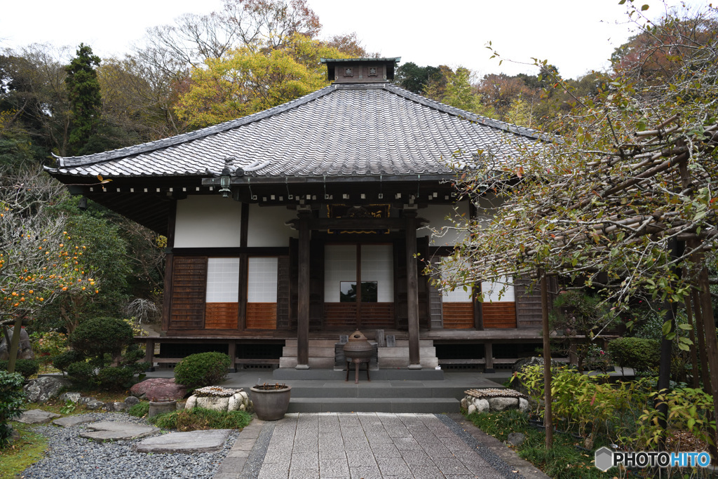 鎌倉　光則寺
