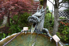 成就院の手水