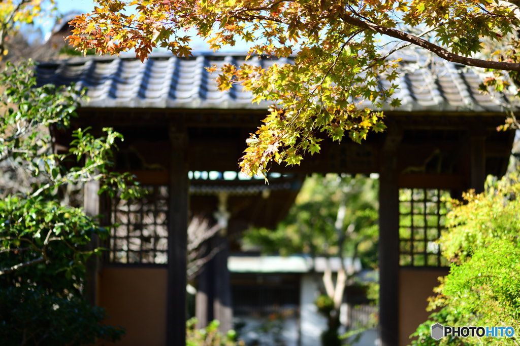 鎌倉　海蔵寺3