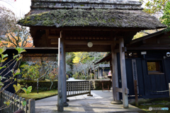 東慶寺2