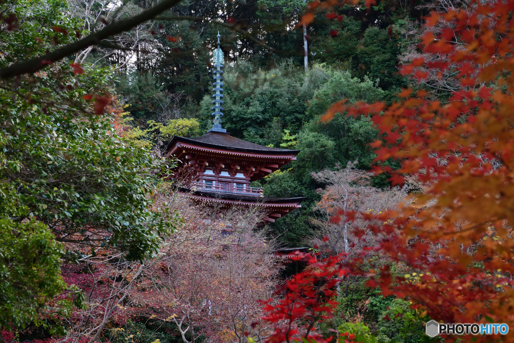 樹々に囲まれて