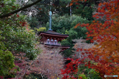 樹々に囲まれて