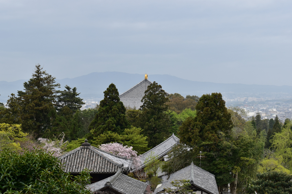 東大寺