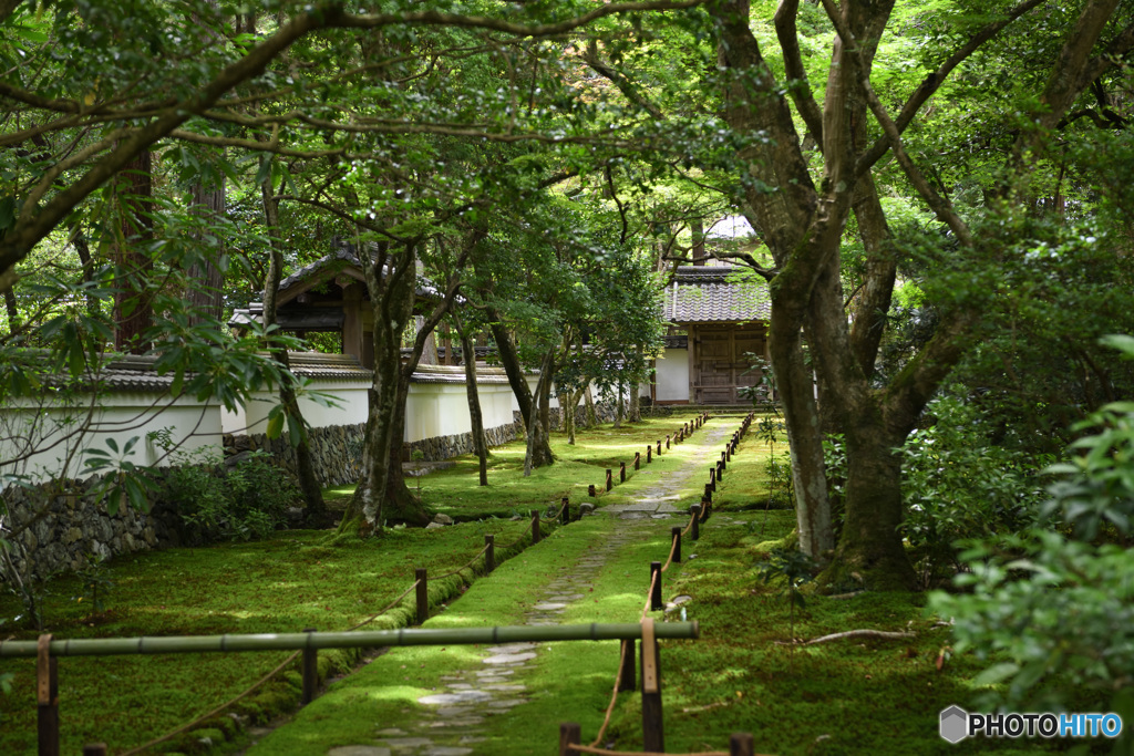 西芳寺　中門