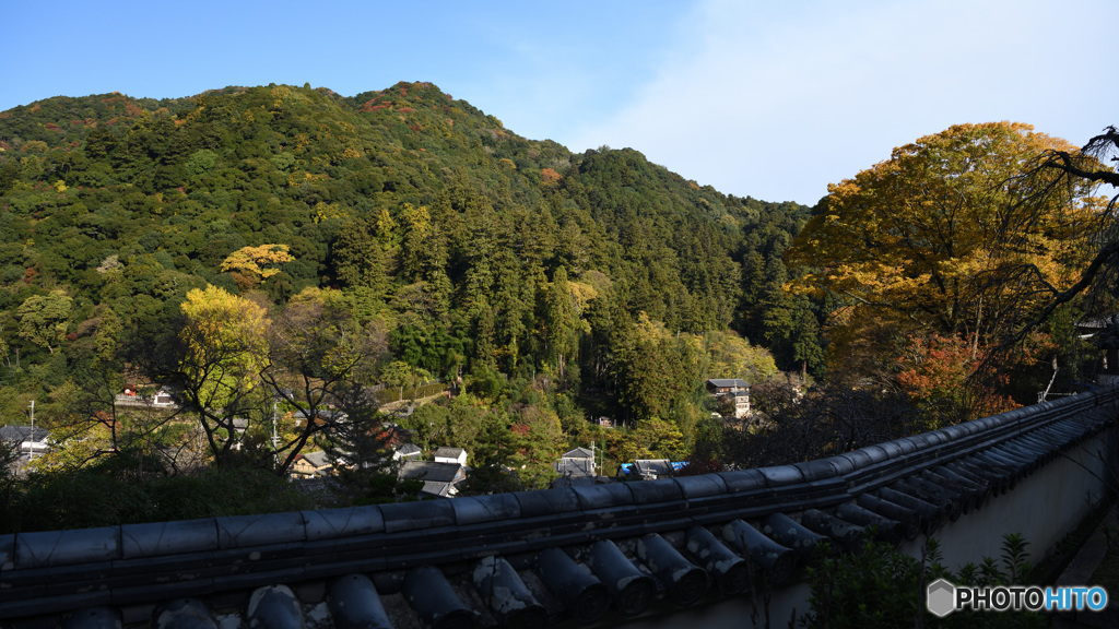 長谷寺より望む