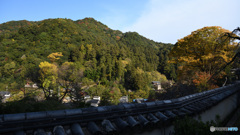 長谷寺より望む